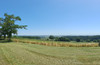 French property for sale in Uxeau, Saône-et-Loire - €210,000 - thumbnail 9