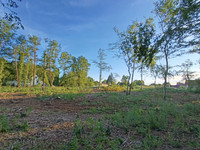 Terrain à vendre à Sarlat-la-Canéda, Dordogne - 77.000 € - photo 3
