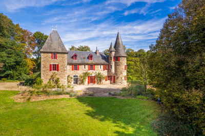 Lovely Château situated privately in 12 hectares of woodland & meadows with a lake, orchard and guesthouse