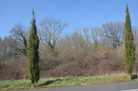 Terrain à vendre à Vasles, Deux-Sèvres - 16 425 € - photo 5
