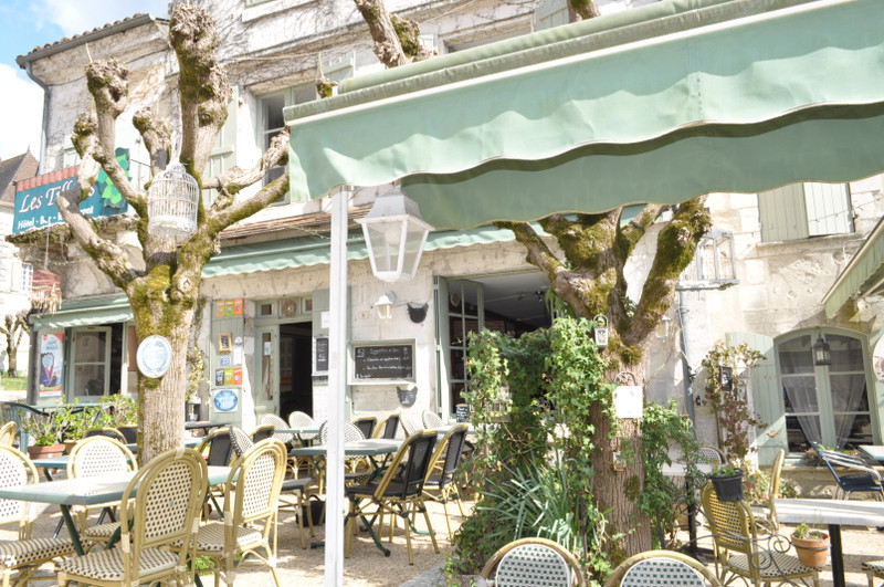 French property for sale in Bourdeilles, Dordogne - €429,800 - photo 1