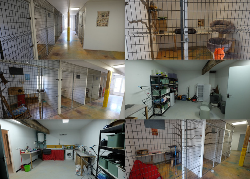 French property for sale in Saint-Pierre-de-Juillers, Charente-Maritime - €299,600 - photo 6