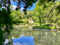 Propriété à vendre à Jonzac, Charente-Maritime - 420 000 € - photo n°3