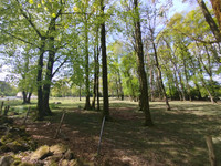 Propriété à vendre à Romagny Fontenay, Manche - 36 600 € - photo n°8