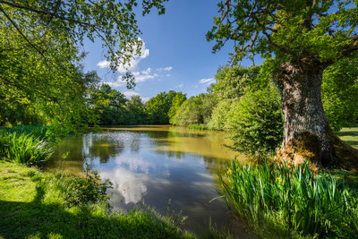 French property for sale in Colméry, Nièvre - €895,000 - photo 14