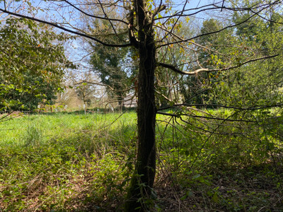 French property for sale in Poullaouen, Finistère - €42,400 - photo 10