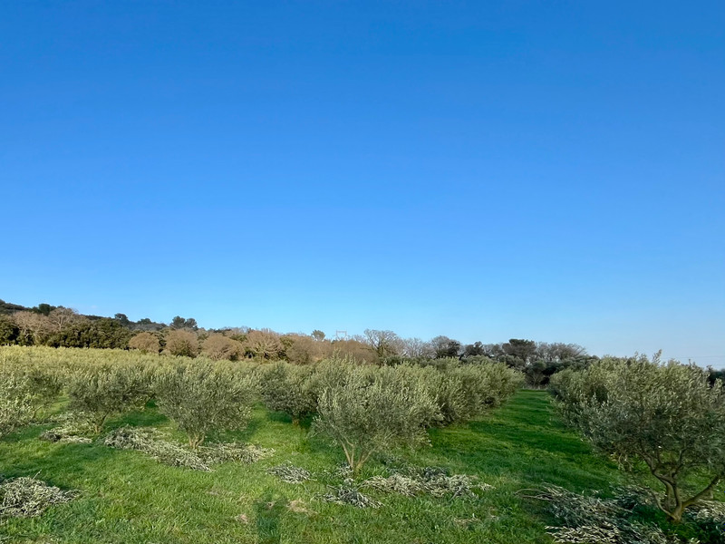 French property for sale in Uzès, Gard - €130,000 - photo 4