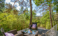 Propriété à vendre à Beynes, Alpes-de-Haute-Provence - 330 000 € - photo n°3
