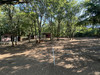 French property for sale in Saint-Martial-d'Albarède, Dordogne - €294,250 - thumbnail 9