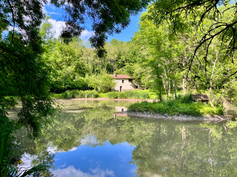 French property for sale in Jonzac, Charente-Maritime - €420,000 - photo 2