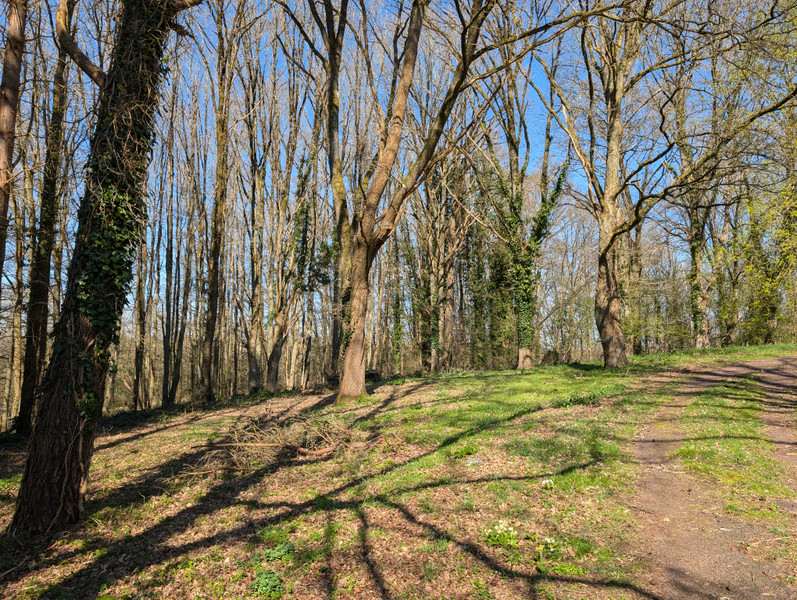 French property for sale in Longny les Villages, Orne - €160,000 - photo 13