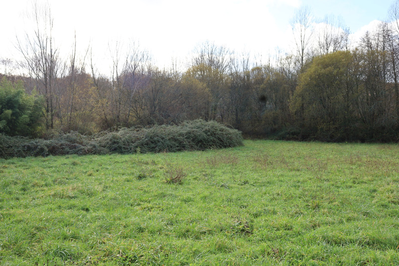 French property for sale in Thonac, Dordogne - €75,210 - photo 5
