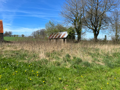 French property for sale in Saint-Michel-de-Montjoie, Manche - €68,000 - photo 7