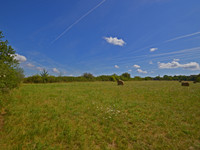 Terrain à vendre à Gabillou, Dordogne - 51.600 € - photo 10