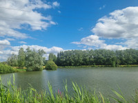 Lacs à Connerré, Sarthe - photo 2
