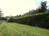 French property for sale in Fursac, Creuse - €65,000 - thumbnail 9