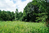 French property for sale in Saint-Paul-en-Gâtine, Deux-Sèvres - €19,000 - thumbnail 13