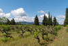 French property for sale in Douzens, Aude - €995,000 - thumbnail 9