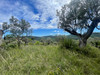 French property for sale in Claviers, Var - €220,000 - thumbnail 9