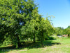 French property for sale in Le Vigan, Lot - €45,000 - thumbnail 9