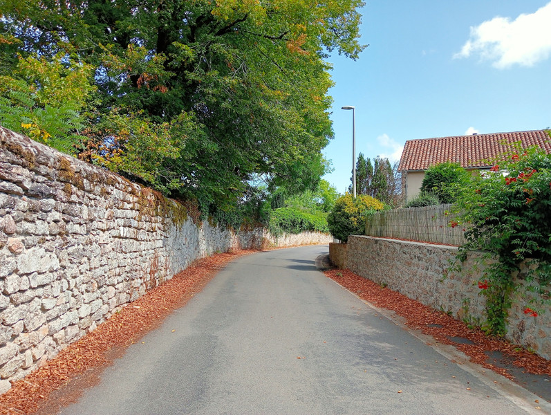French property for sale in Montvert, Cantal - €232,190 - photo 9