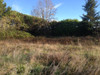 French property for sale in Gout-Rossignol, Dordogne - €16,500 - thumbnail 4