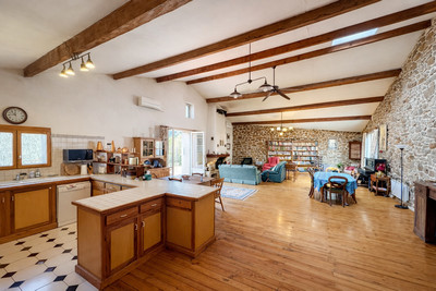 French property for sale in Neffiès, Hérault - €375,000 - photo 5