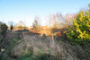 French property for sale in Asnières-la-Giraud, Charente-Maritime - €83,930 - thumbnail 9