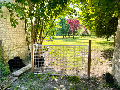 French property for sale in Prinçay, Vienne - €248,500 - photo 3