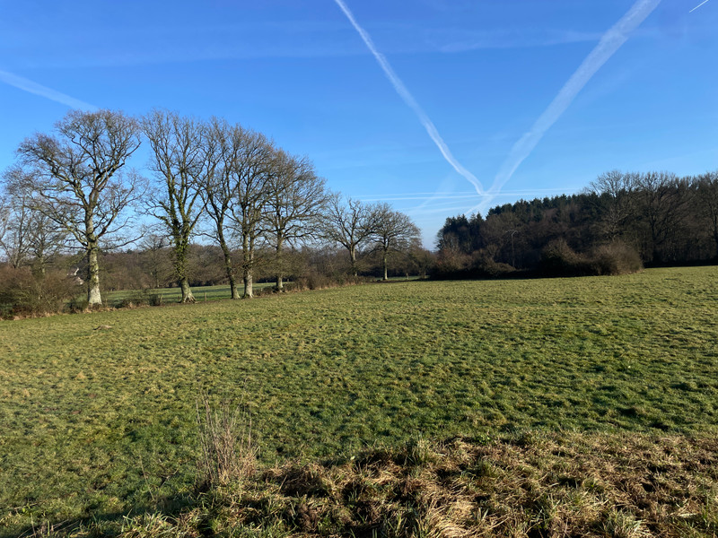 French property for sale in Berjou, Orne - €1,200,000 - photo 6