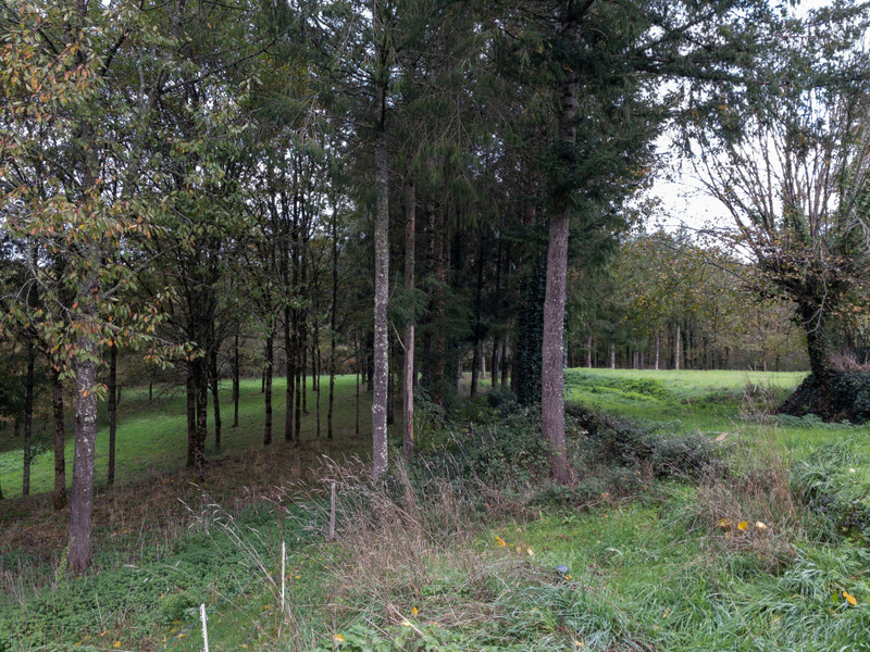 French property for sale in Pressignac, Charente - €75,000 - photo 9