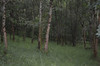 French property for sale in Virazeil, Lot-et-Garonne - €351,200 - thumbnail 11