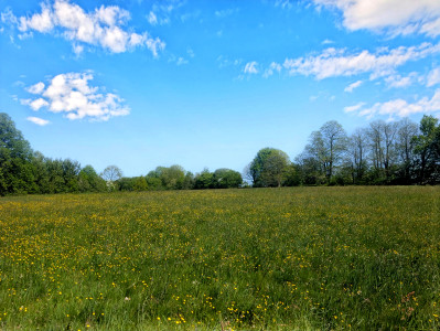 French property for sale in Châlus, Haute-Vienne - €199,800 - photo 12