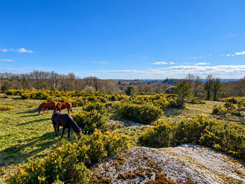 French property for sale in Saint-Nicodème, Côtes-d'Armor - €333,000 - photo 7