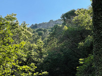 Terrain à vendre à La Garde-Freinet, Var - 145.263 € - photo 3