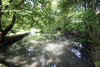 French property for sale in Eyraud-Crempse-Maurens, Dordogne - €315,000 - thumbnail 9