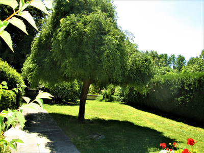 French property for sale in Saint-Paul-Lizonne, Dordogne - €79,750 - photo 4