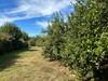 French property for sale in Saint-Saud-Lacoussière, Dordogne - €30,100 - thumbnail 14