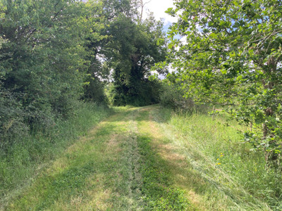 French property for sale in Lussac-les-Églises, Haute-Vienne - €399,999 - photo 14