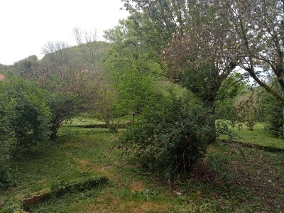 French property for sale in Bassignac, Cantal - €77,000 - photo 8