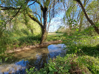 Moulin à vendre à Cressé, Charente-Maritime - 349.800 € - photo 14