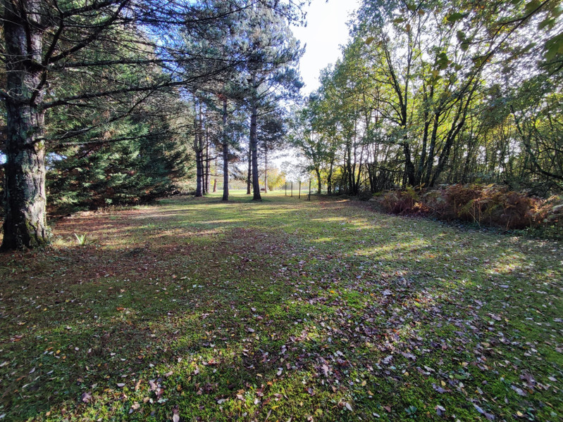 French property for sale in Château-Garnier, Vienne - €239,000 - photo 3