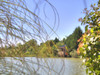 French property for sale in Marciac, Gers - €1,590,000 - thumbnail 9