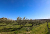 French property for sale in Uzès, Gard - €130,000 - thumbnail 7