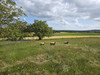 French property for sale in Marthon, Charente - €176,000 - thumbnail 9