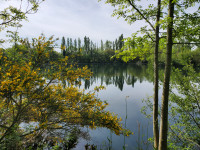 Lacs à vendre à Saint-Germain-de-Longue-Chaume, Deux-Sèvres - 370 000 € - photo 6