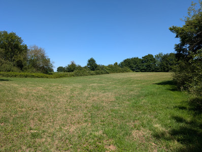 French property for sale in Courtomer, Orne - €580,000 - photo 8