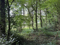 Propriété à vendre à Médréac, Ille-et-Vilaine - 16 600 € - photo n°5