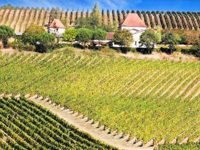 house for sale in Gers