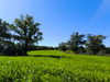 French property for sale in Val-d'Oire-et-Gartempe, Haute-Vienne - €59,100 - thumbnail 14
